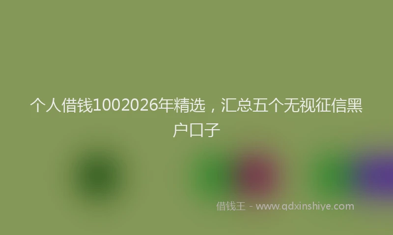 个人借钱1002026年精选，汇总五个无视征信黑户口子