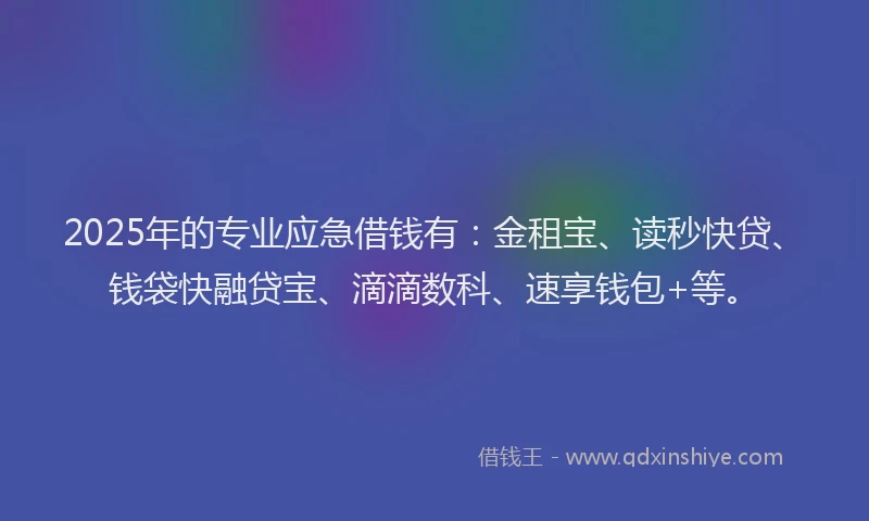 2025年的专业应急借钱有:金租宝、读秒快贷、钱袋快融贷宝、滴滴数科、速享钱包+等。