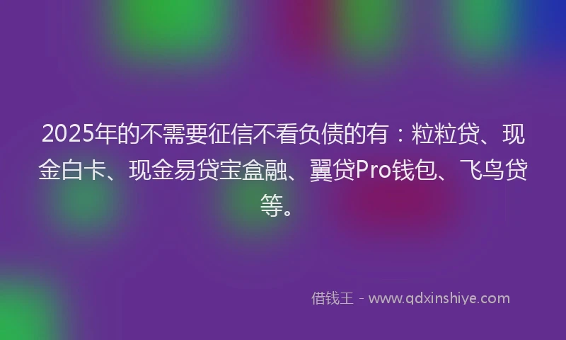 2025年的不需要征信不看负债的有：粒粒贷、现金白卡、现金易贷宝盒融、翼贷Pro钱包、飞鸟贷等。
