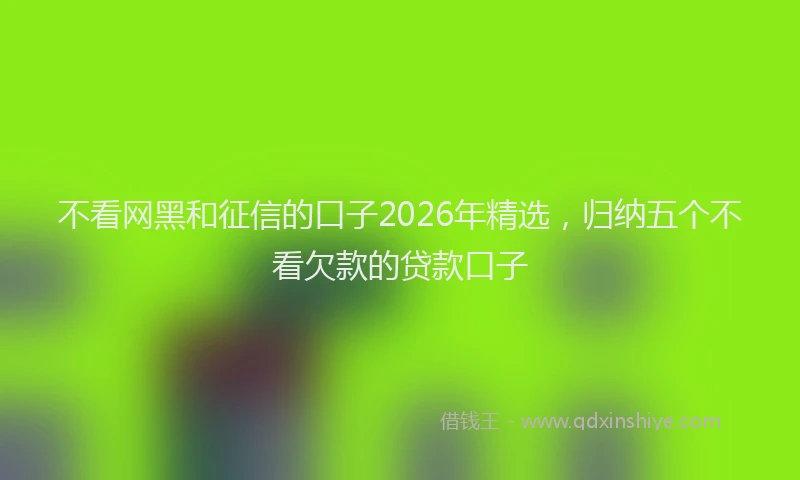 不看网黑和征信的口子2026年精选，归纳五个不看欠款的贷款口子