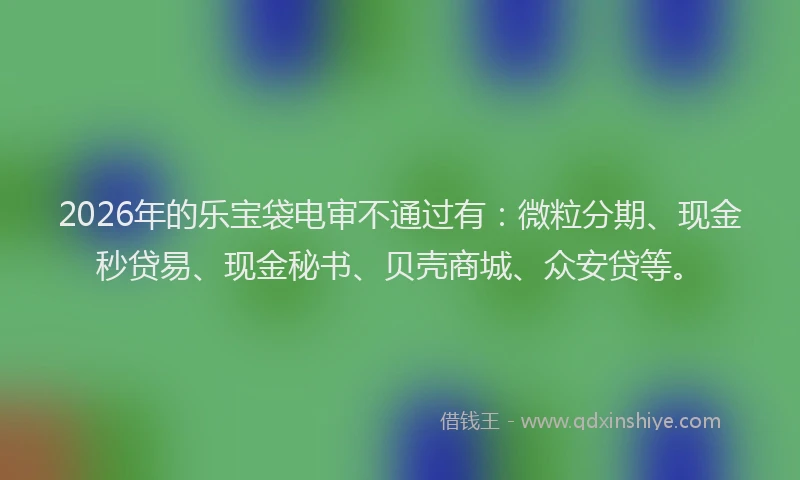 2026年的乐宝袋电审不通过有：微粒分期、现金秒贷易、现金秘书、贝壳商城、众安贷等。