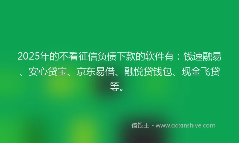 2025年的不看征信负债下款的软件有：钱速融易、安心贷宝、京东易借、融悦贷钱包、现金飞贷等。