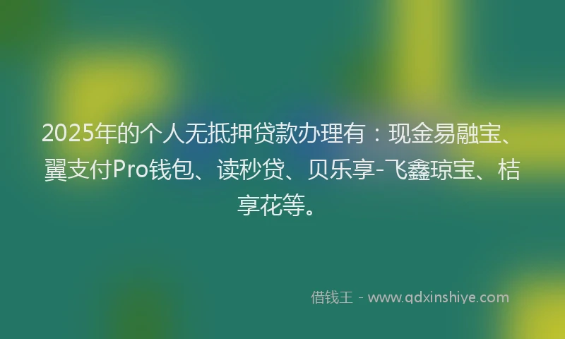 2025年的个人无抵押贷款办理有:现金易融宝、翼支付Pro钱包、读秒贷、贝乐享-飞鑫琼宝、桔享花等。