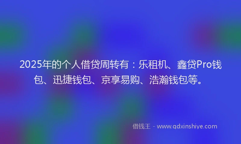 2025年的个人借贷周转有：乐租机、鑫贷Pro钱包、迅捷钱包、京享易购、浩瀚钱包等。