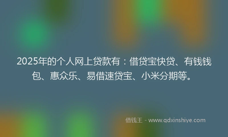 2025年的个人网上贷款有：借贷宝快贷、有钱钱包、惠众乐、易借速贷宝、小米分期等。
