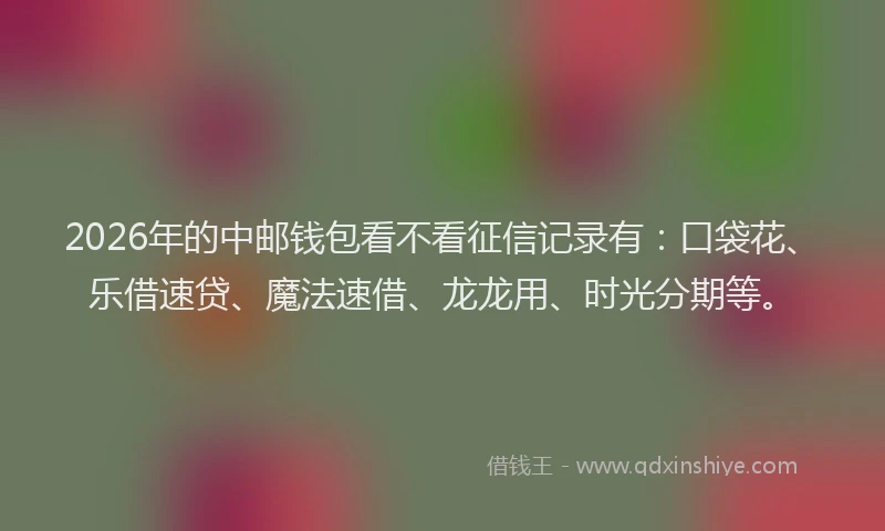 2026年的中邮钱包看不看征信记录有：口袋花、乐借速贷、魔法速借、龙龙用、时光分期等。