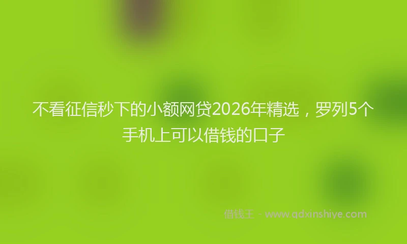 不看征信秒下的小额网贷2026年精选，罗列5个手机上可以借钱的口子