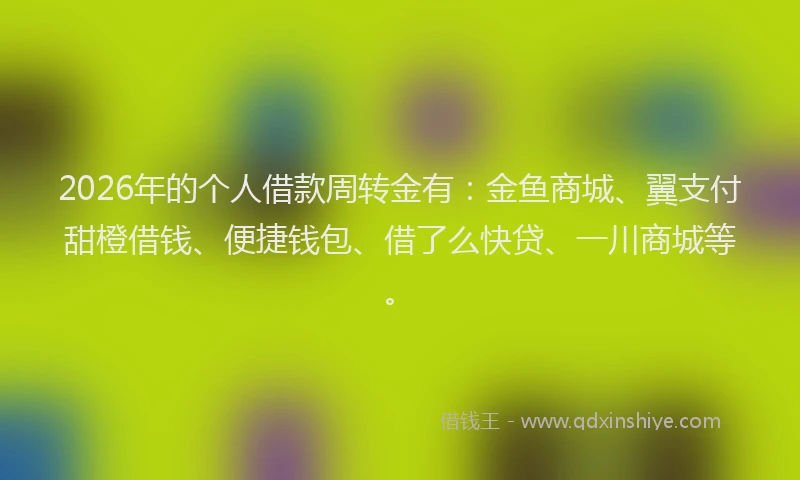 2026年的个人借款周转金有：金鱼商城、翼支付甜橙借钱、便捷钱包、借了么快贷、一川商城等。