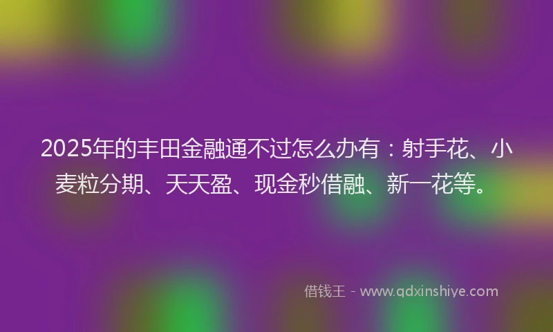 2025年的丰田金融通不过怎么办有：射手花、小麦粒分期、天天盈、现金秒借融、新一花等。