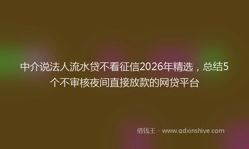 中介说法人流水贷不看征信2026年精选，总结5个不审核夜间直接放款的网贷平台