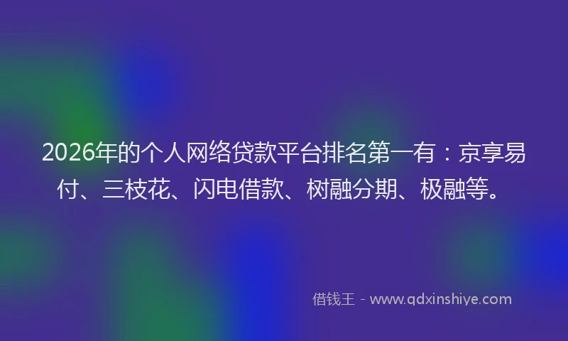 2026年的个人网络贷款平台排名第一有：京享易付、三枝花、闪电借款、树融分期、极融等。