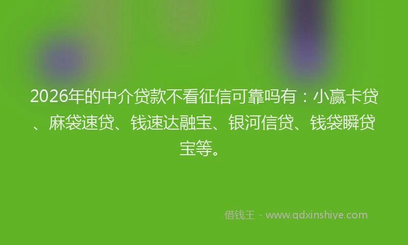 2026年的中介贷款不看征信可靠吗有:小赢卡贷、麻袋速贷、钱速达融宝、银河信贷、钱袋瞬贷宝等。