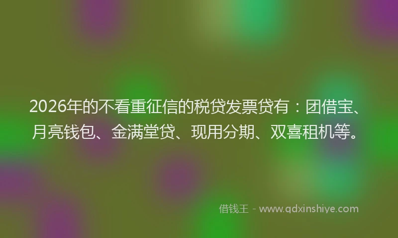 2026年的不看重征信的税贷发票贷有：团借宝、月亮钱包、金满堂贷、现用分期、双喜租机等。