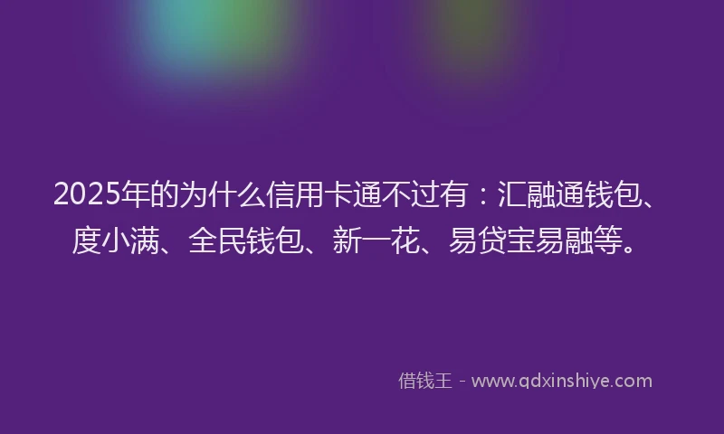 2025年的为什么信用卡通不过有：汇融通钱包、度小满、全民钱包、新一花、易贷宝易融等。