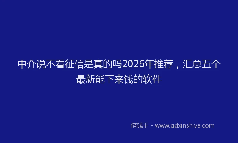 中介说不看征信是真的吗2026年推荐，汇总五个最新能下来钱的软件