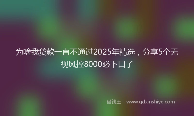 为啥我贷款一直不通过2025年精选，分享5个无视风控8000必下口子