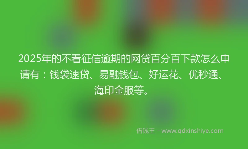2025年的不看征信逾期的网贷百分百下款怎么申请有：钱袋速贷、易融钱包、好运花、优秒通、海印金服等。