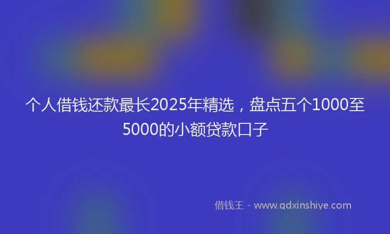个人借钱还款最长2025年精选，盘点五个1000至5000的小额贷款口子