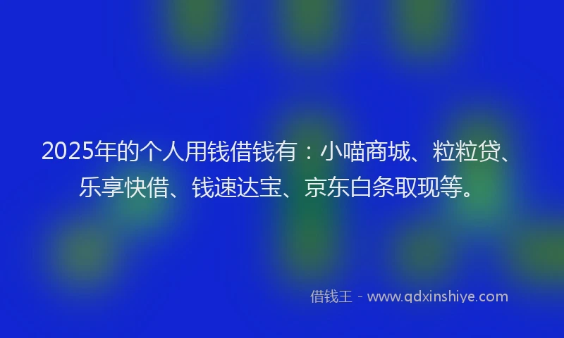 2025年的个人用钱借钱有：小喵商城、粒粒贷、乐享快借、钱速达宝、京东白条取现等。