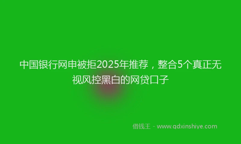中国银行网申被拒2025年推荐，整合5个真正无视风控黑白的网贷口子