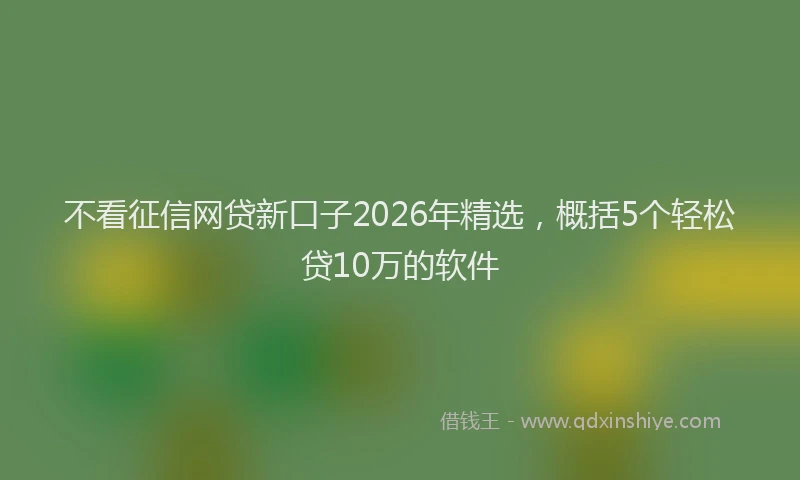 不看征信网贷新口子2026年精选，概括5个轻松贷10万的软件
