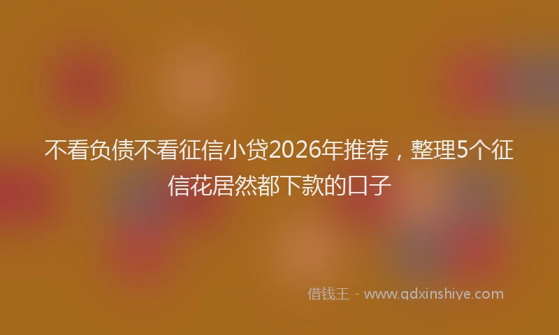不看负债不看征信小贷2026年推荐,整理5个征信花居然都下款的口子