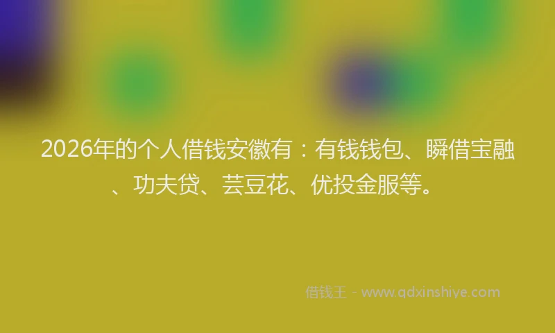 2026年的个人借钱安徽有：有钱钱包、瞬借宝融、功夫贷、芸豆花、优投金服等。