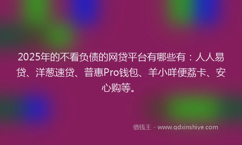 2025年的不看负债的网贷平台有哪些有：人人易贷、洋葱速贷、普惠Pro钱包、羊小咩便荔卡、安心购等。