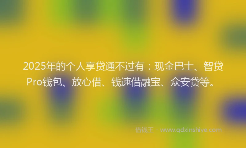2025年的个人享贷通不过有：现金巴士、智贷Pro钱包、放心借、钱速借融宝、众安贷等。