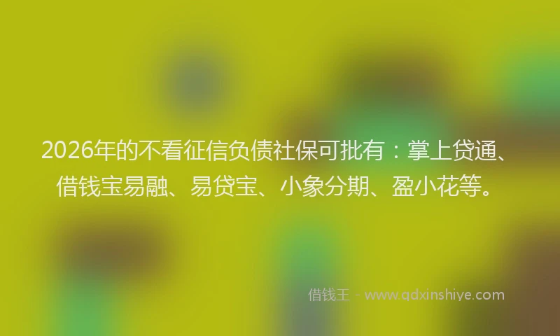 2026年的不看征信负债社保可批有：掌上贷通、借钱宝易融、易贷宝、小象分期、盈小花等。