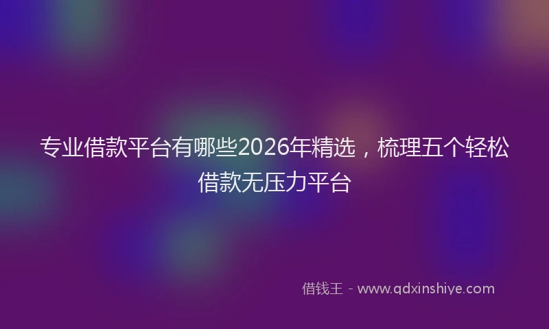 专业借款平台有哪些2026年精选，梳理五个轻松借款无压力平台