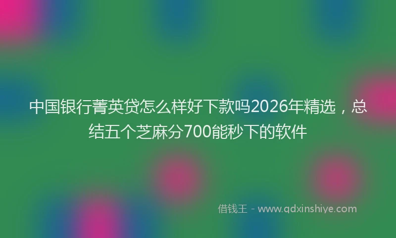 中国银行菁英贷怎么样好下款吗2026年精选，总结五个芝麻分700能秒下的软件