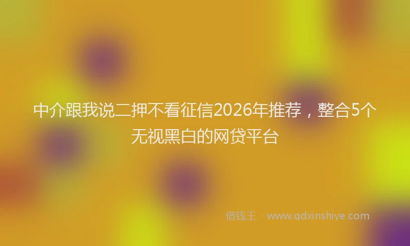 中介跟我说二押不看征信2026年推荐，整合5个无视黑白的网贷平台