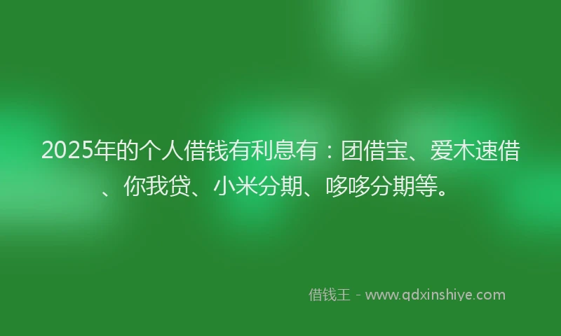 2025年的个人借钱有利息有:团借宝、爱木速借、你我贷、小米分期、哆哆分期等。