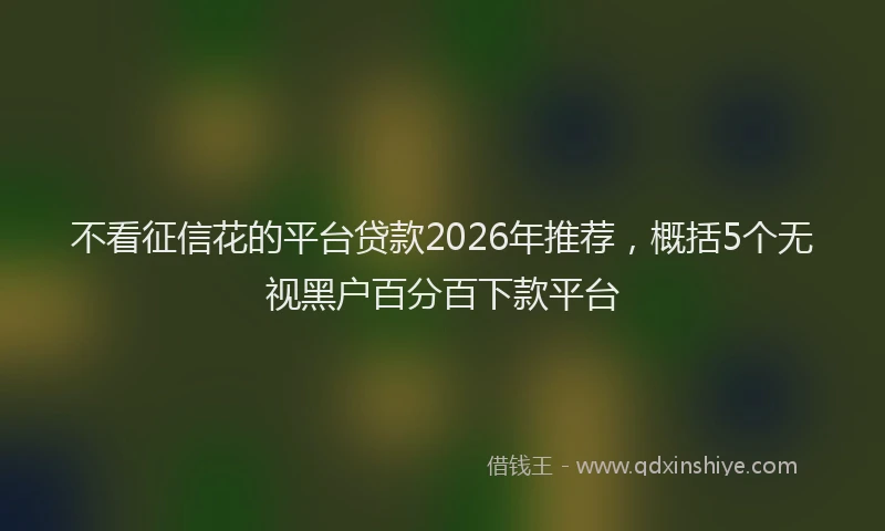 不看征信花的平台贷款2026年推荐，概括5个无视黑户百分百下款平台