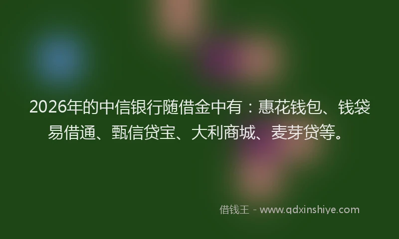 2026年的中信银行随借金中有：惠花钱包、钱袋易借通、甄信贷宝、大利商城、麦芽贷等。