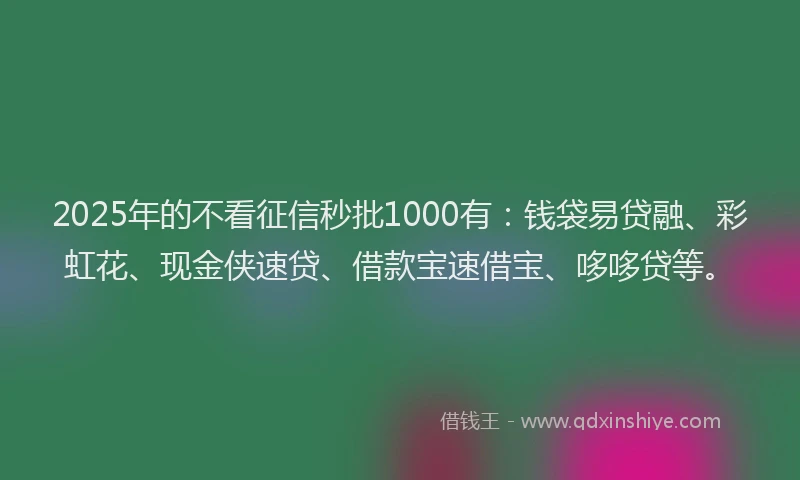 2025年的不看征信秒批1000有：钱袋易贷融、彩虹花、现金侠速贷、借款宝速借宝、哆哆贷等。