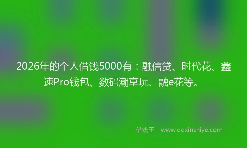 2026年的个人借钱5000有：融信贷、时代花、鑫速Pro钱包、数码潮享玩、融e花等。