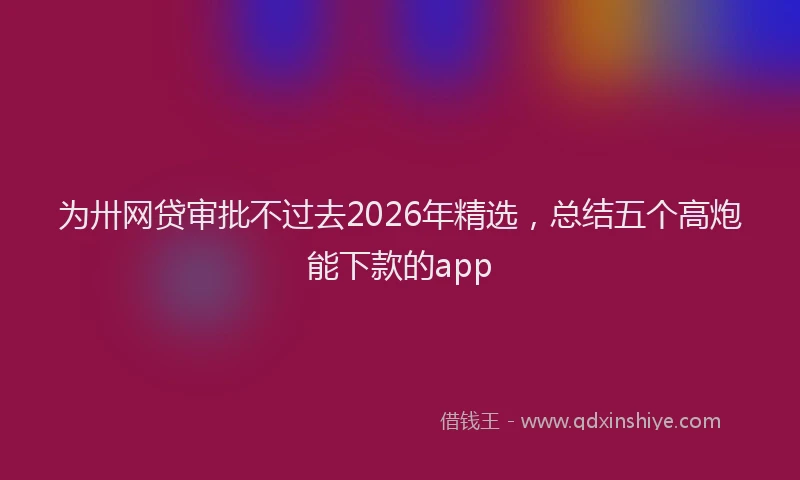 为卅网贷审批不过去2026年精选，总结五个高炮能下款的app