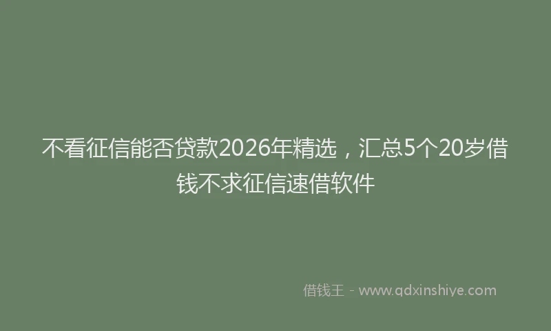 不看征信能否贷款2026年精选，汇总5个20岁借钱不求征信速借软件