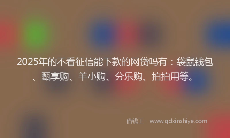 2025年的不看征信能下款的网贷吗有：袋鼠钱包、甄享购、羊小购、分乐购、拍拍用等。