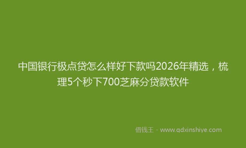 中国银行极点贷怎么样好下款吗2026年精选，梳理5个秒下700芝麻分贷款软件