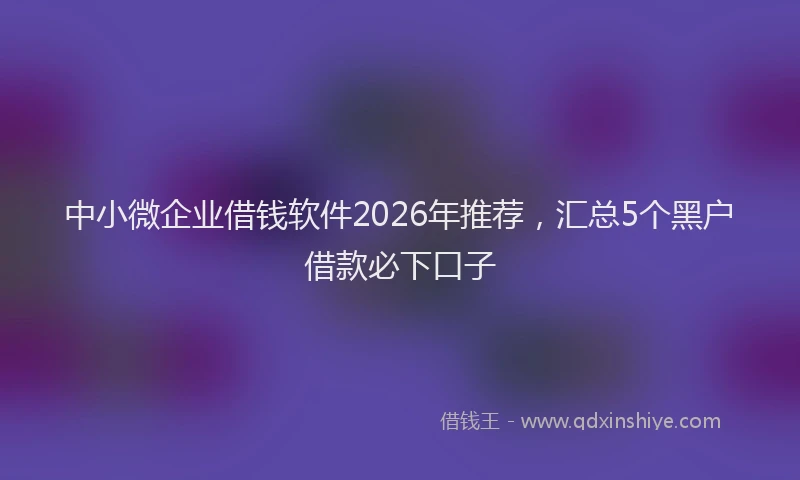 中小微企业借钱软件2026年推荐，汇总5个黑户借款必下口子