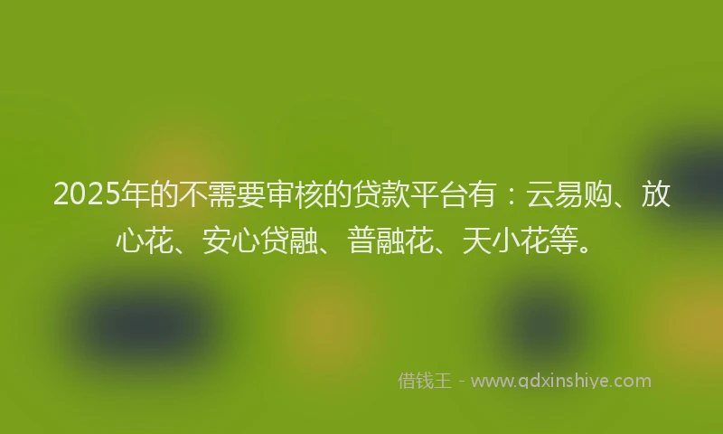 2025年的不需要审核的贷款平台有:云易购、放心花、安心贷融、普融花、天小花等。
