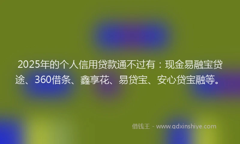 2025年的个人信用贷款通不过有：现金易融宝贷途、360借条、鑫享花、易贷宝、安心贷宝融等。
