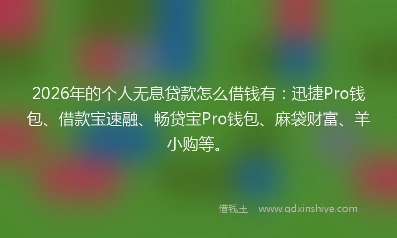 2026年的个人无息贷款怎么借钱有：迅捷Pro钱包、借款宝速融、畅贷宝Pro钱包、麻袋财富、羊小购等。