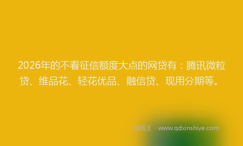 2026年的不看征信额度大点的网贷有：腾讯微粒贷、维品花、轻花优品、融信贷、现用分期等。