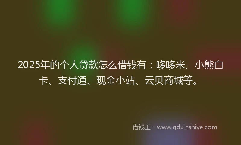 2025年的个人贷款怎么借钱有：哆哆米、小熊白卡、支付通、现金小站、云贝商城等。