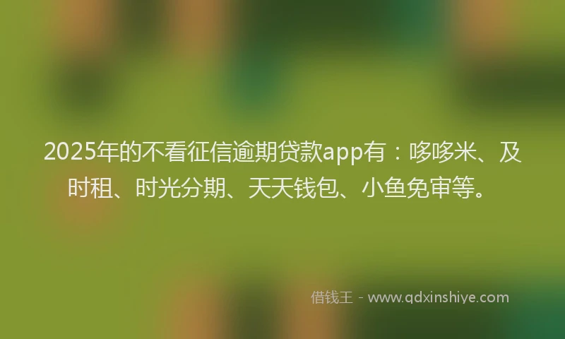 2025年的不看征信逾期贷款app有：哆哆米、及时租、时光分期、天天钱包、小鱼免审等。