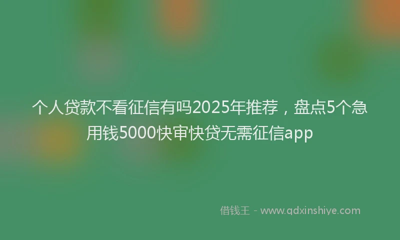 个人贷款不看征信有吗2025年推荐，盘点5个急用钱5000快审快贷无需征信app